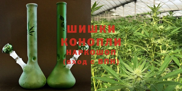 сатива Алзамай