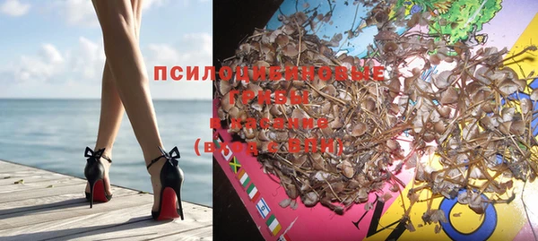 бошки Абаза
