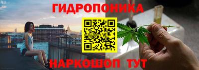 МДПВ Лесосибирск