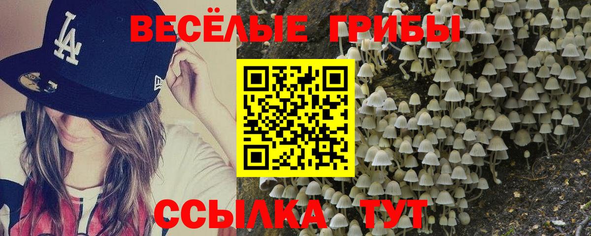 Галлюциногенные грибы прущие грибы Дубна
