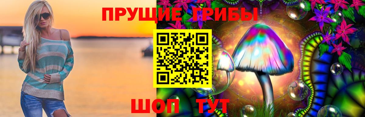Дубна  Псилоцибиновые грибы MAGIC MUSHROOMS  Вход с VPN 