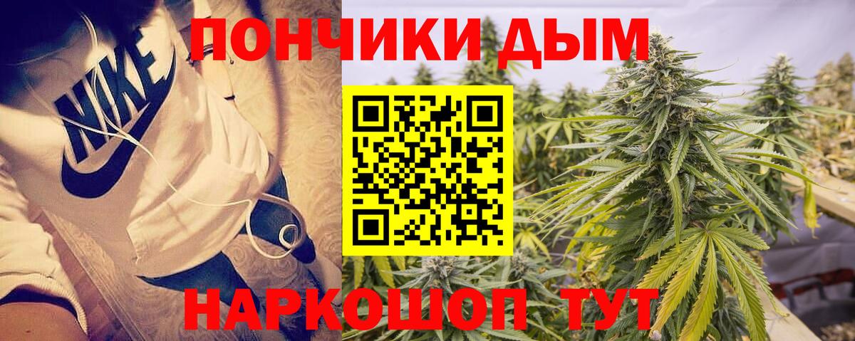 Бошки марихуана сатива  Канабис гибрид  Дубна  Каннабис план  Вход с VPN 